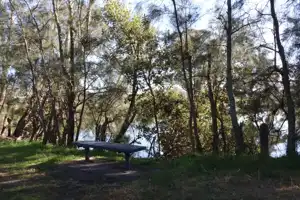 2025-06-30 Scarborough Park - IMG_2923_compressed_q50.webp